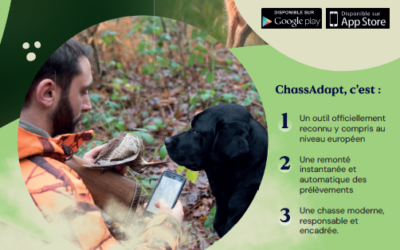 CHASSADAPT C’est Quoi ?